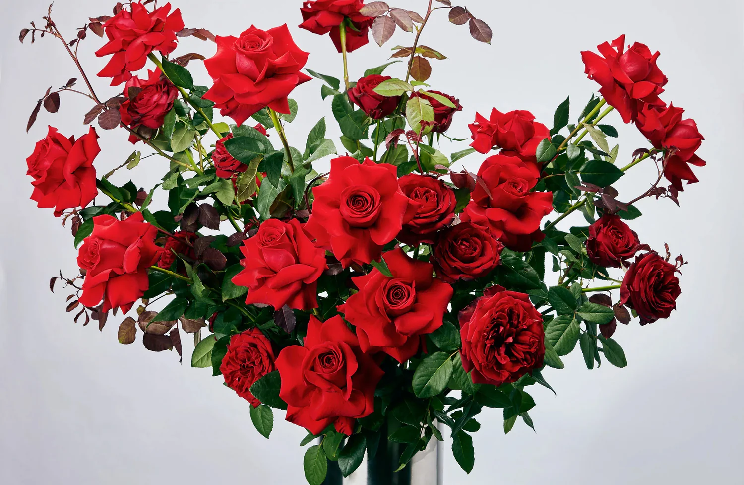 Koperasi Wanita Waspada Surabaya Logo